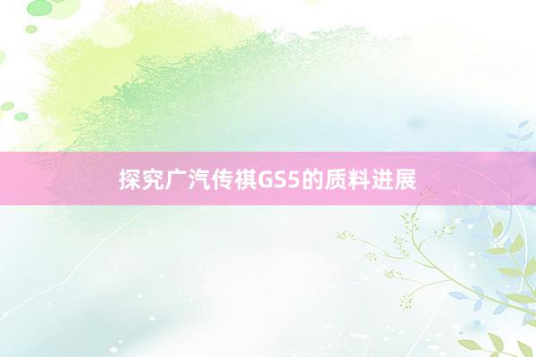 探究广汽传祺GS5的质料进展