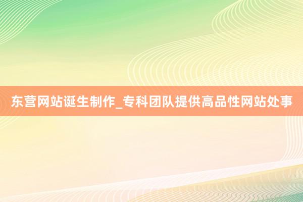 东营网站诞生制作_专科团队提供高品性网站处事